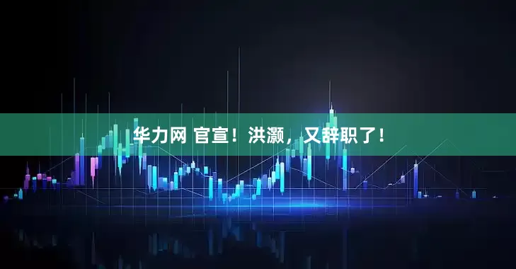 华力网 官宣！洪灏，又辞职了！