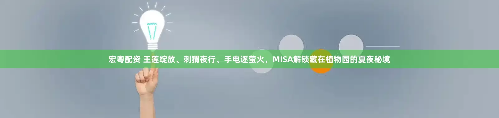 宏粤配资 王莲绽放、刺猬夜行、手电逐萤火，MISA解锁藏在植物园的夏夜秘境